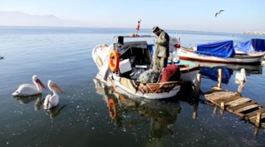 Karşıyaka Sahilleri Pelikanlarla Şenlendi