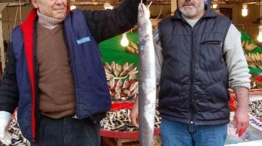 Yakalanan M&uuml;ren Balığı Vatandaşların İlgi Odağı Oldu