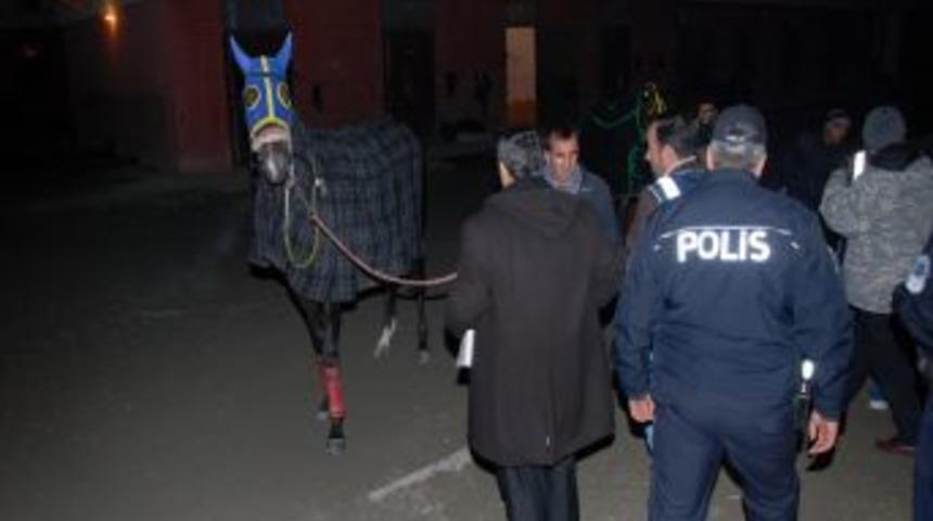 Hipodroma 'şafak' Operasyonu