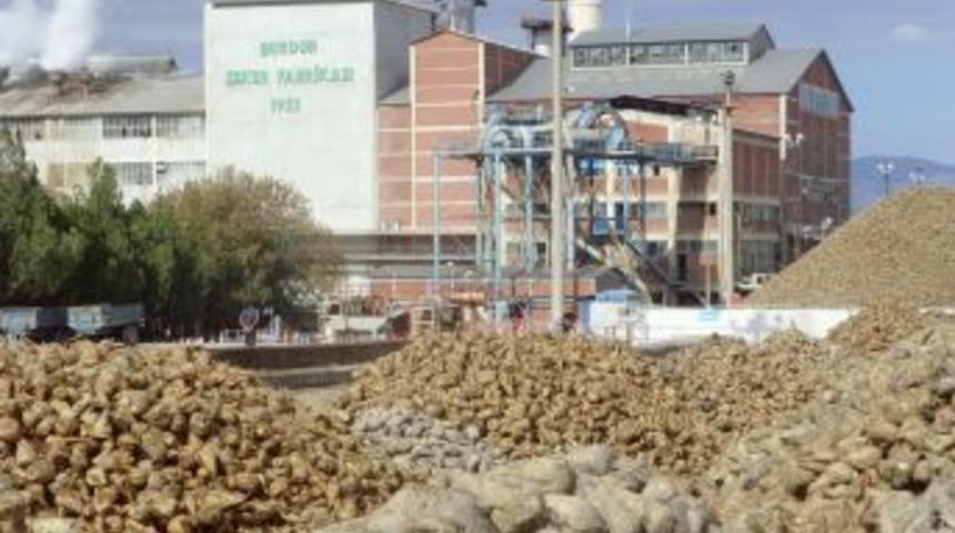 Burdur Şeker Fabrikası'nda 474 Bin Ton Pancar Işlendi