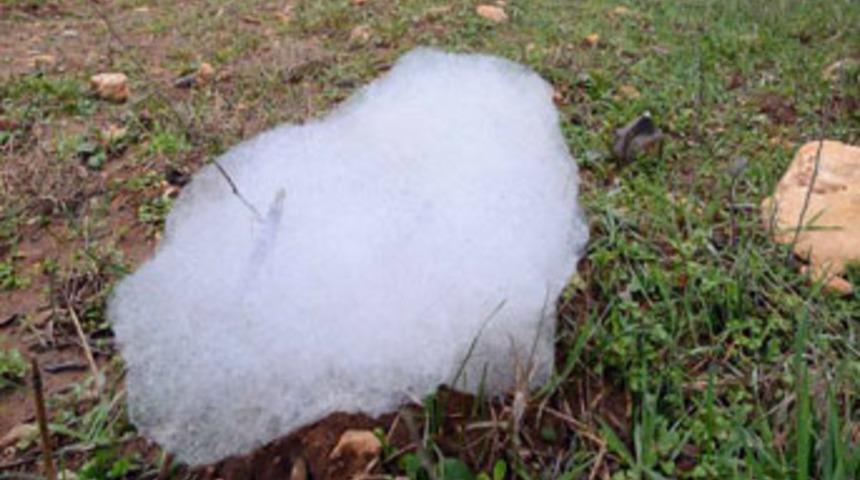 Yatağan'da k&ouml;p&uuml;k paniği