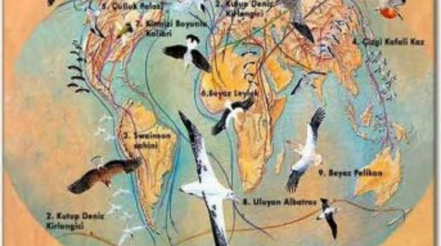 Afyonkarahisar'da 'd&uuml;nya Sulak Alanlar G&uuml;n&uuml;' Etkinlikleri