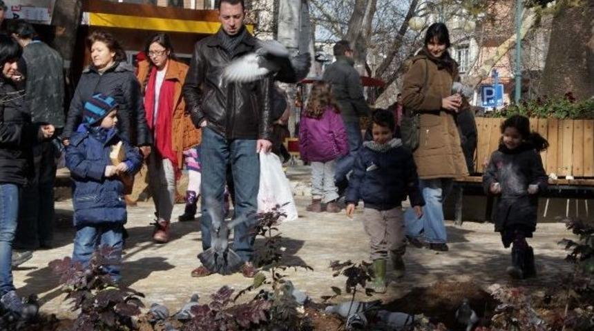 Ankara&rsquo;nın G&ouml;zbebeği Kuğulupark Yenilendi