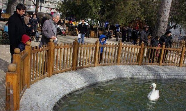 Ankara’nın Gözbebeği Kuğulupark Yenilendi