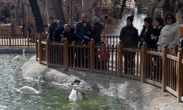 Ankara’nın Gözbebeği Kuğulupark Yenilendi