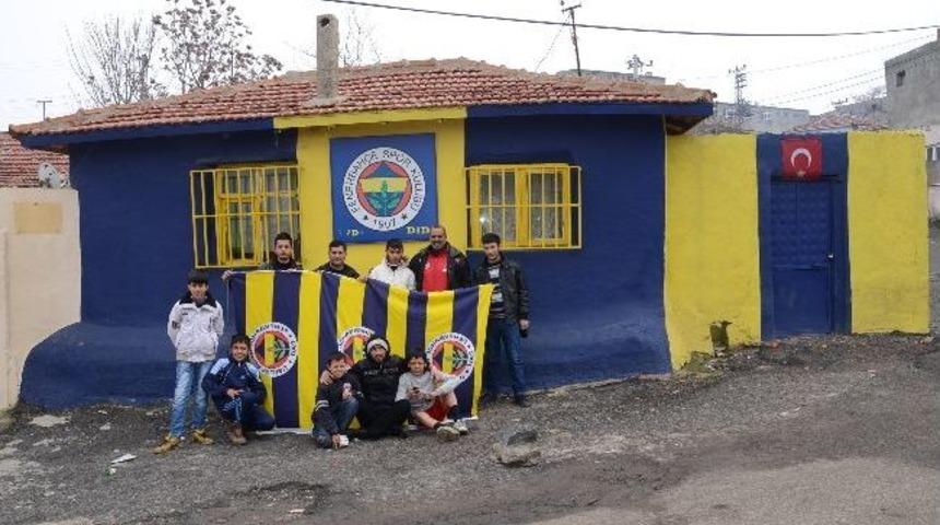 Fanatik Amigo Evini Sarı - Lacivert Boyadı