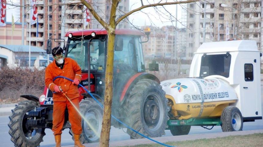 Konya'da Ağa&ccedil;lar B&ouml;cekten Kışlık Yağ Ile Korunuyor