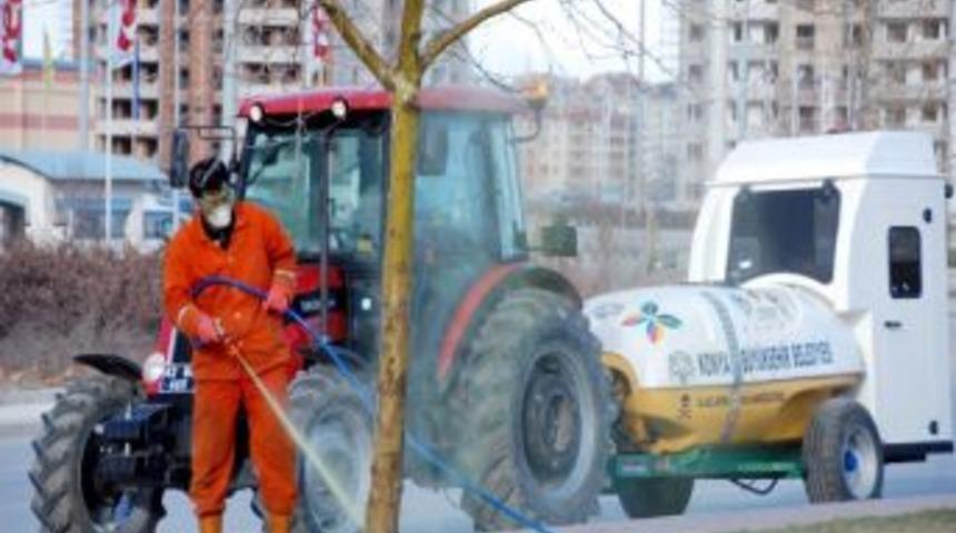 Konya&rsquo;da Ağa&ccedil;lara Kışlık Yağ Uygulaması Yapılıyor