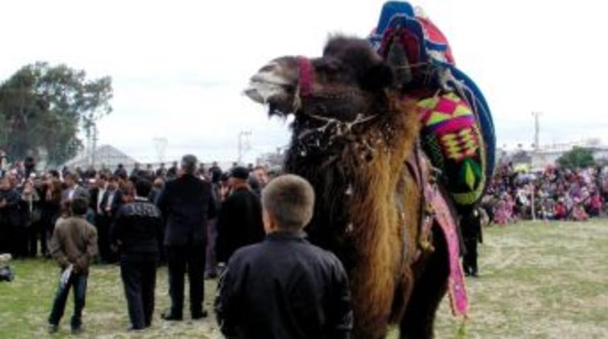 Develer, Orman İ&ccedil;in G&uuml;reşti