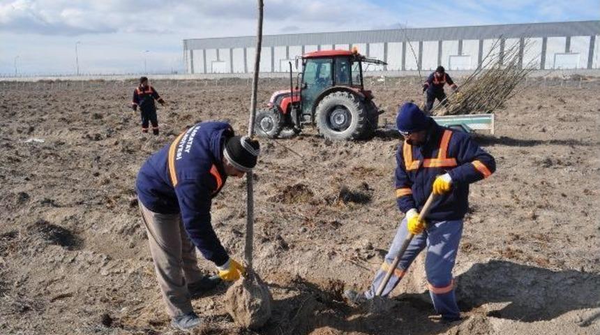 Karatay&rsquo;da Ağa&ccedil;landırma &Ccedil;alışmaları S&uuml;r&uuml;yor