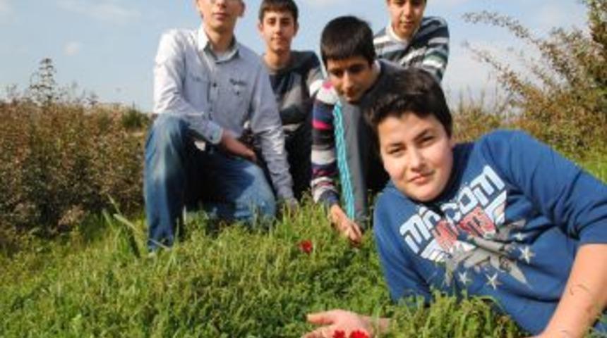 Öğrenciler Yarı Yıl Tatilinde Bölgelerinde Yetişen Bitki Türlerini Tanıyor