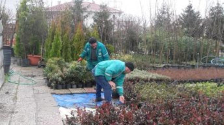 Belediye Fidanlığında 7 Bin S&uuml;s Bitkisi &Uuml;retimi Yapıldı