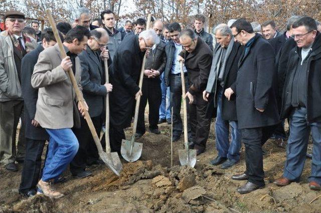 Bursa'da İpek Böcekçiliği Yeniden Canlanıyor