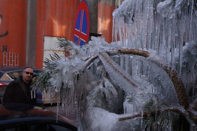 Erzurum'da Otomobil Ve Ağaçlar Buz Tuttu