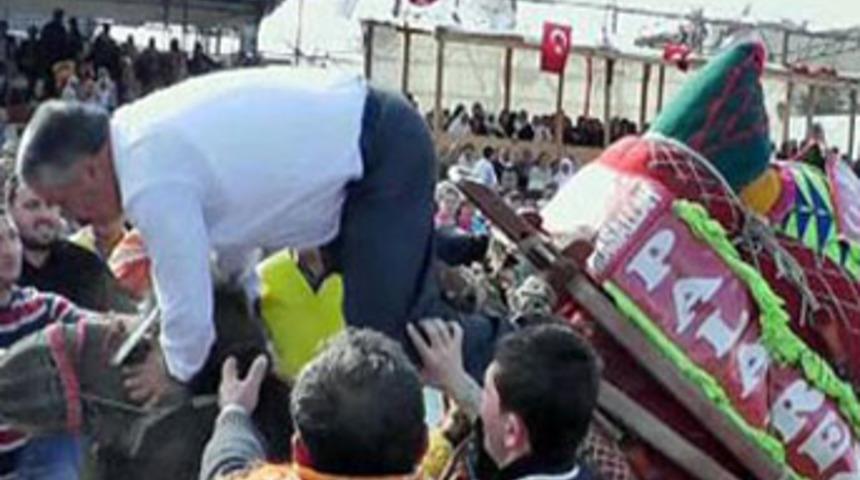 'Başbakanımızın izinden geliyoruz' dedi, deveden d&uuml;şt&uuml;!