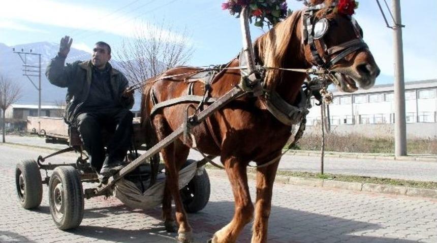 Atını &Ccedil;i&ccedil;eklerle S&uuml;sledi