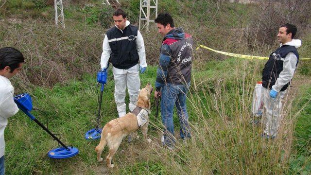 Sierra&rsquo;nın &Ouml;l&uuml; Bulunduğu Yerde Dedekt&ouml;rl&uuml; Arama 1