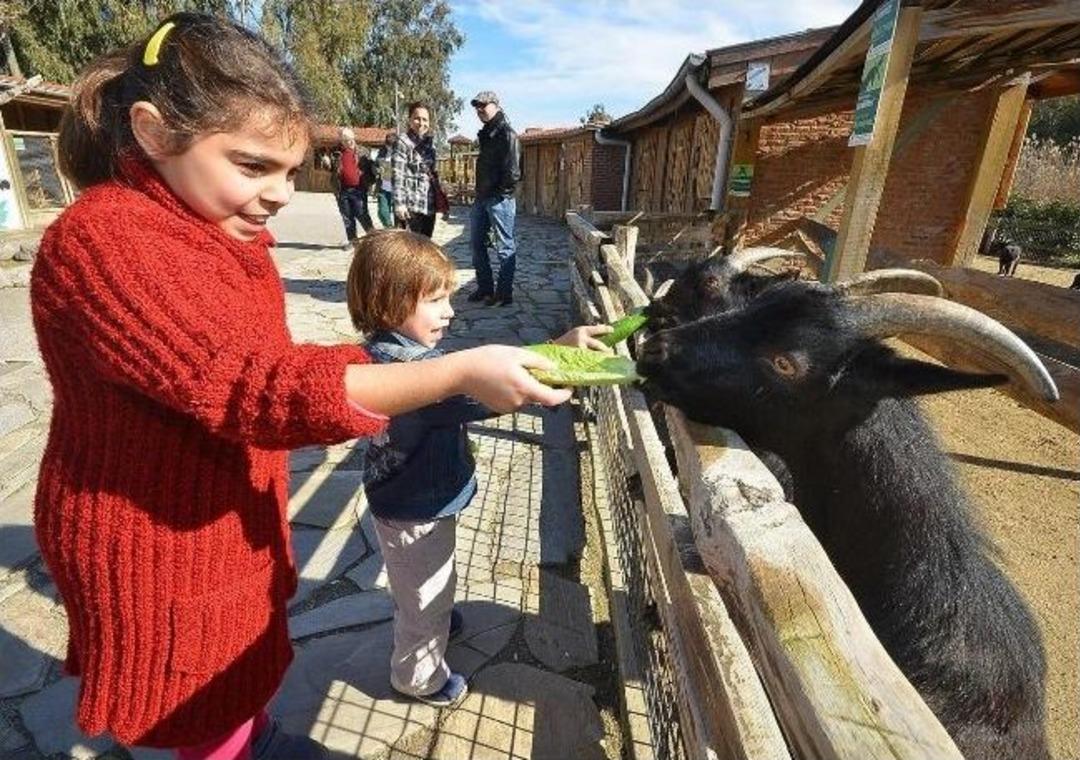 Yarıyıl Tatilinde Doğal Yaşam Parkı 25 Bin Ziyaret&ccedil;i Ağırladı