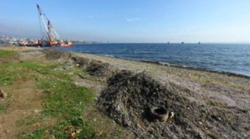 K&ouml;rfez Sahili Temizlendi