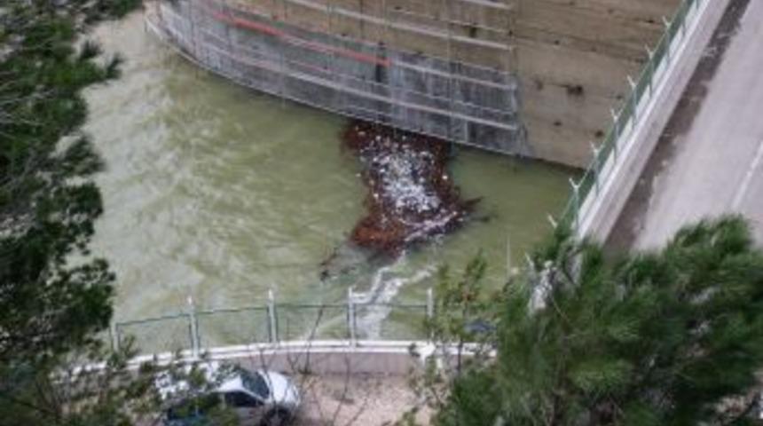 G&ouml;n&uuml;ll&uuml;ler Suların Nasıl Kirletildiğini Resimledi