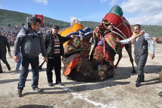 Pehlivan Develer Torbalı’da Er Meydanına Çıktı