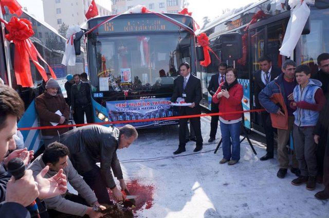 Büyükşehir Belediyesi, Şehiriçi Ulaşıma 15 Otobüs Ilave Etti 1