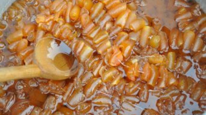 Aile Ekonomisine Turun&ccedil; Re&ccedil;eli Katkısı