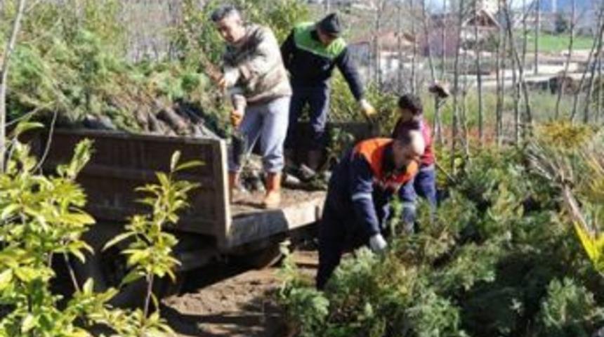 Binlerce fidan toprakla buluşacak