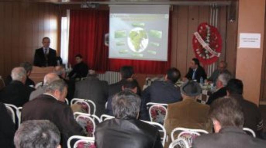 &Ccedil;ift&ccedil;ilere Asma Yetiştiriciliği Kursu Verildi