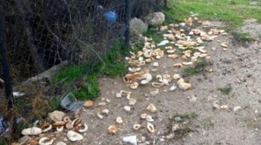 Bilecik&rsquo;te Ekmek İsrafı Dikkat &Ccedil;ekiyor