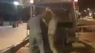 Nevşehir'de infial yaratan görüntü! Köpeği canlı canlı çöp kamyonunda atarak ezdiler iddiası