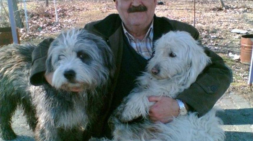 35 Yıllık Memurun K&ouml;pek Y&uuml;z&uuml;nden Lojmandan &Ccedil;ıkarıldığı İddiası