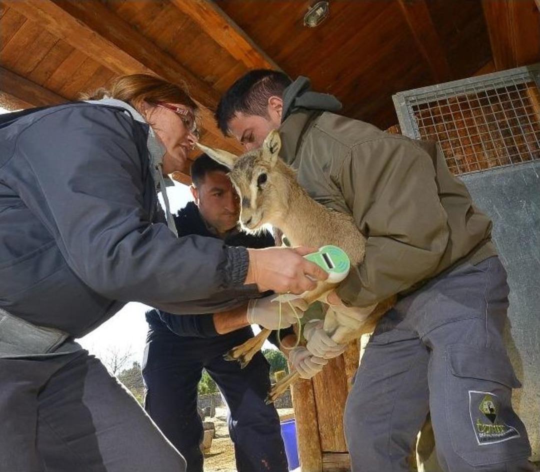Eskişehir&rsquo;e Doğal Destek