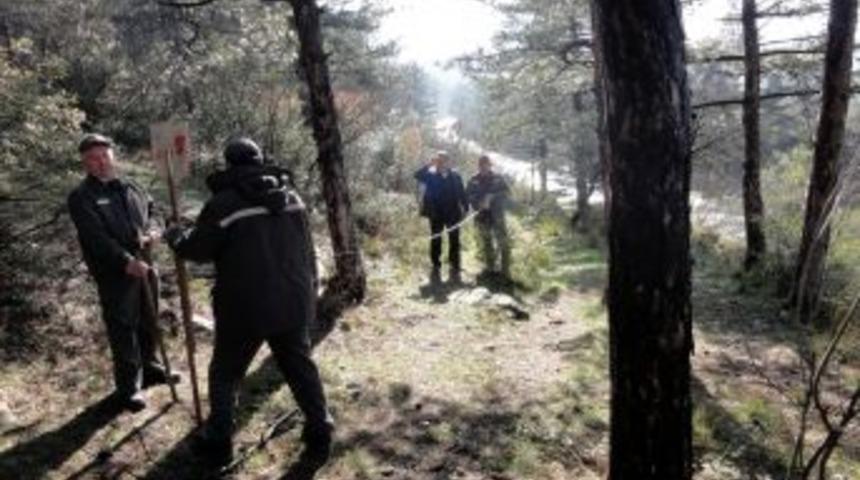 Bursa, Bilecik, Yalova Ormanlarına 60 Kilometre Yeni Yol Yapılacak