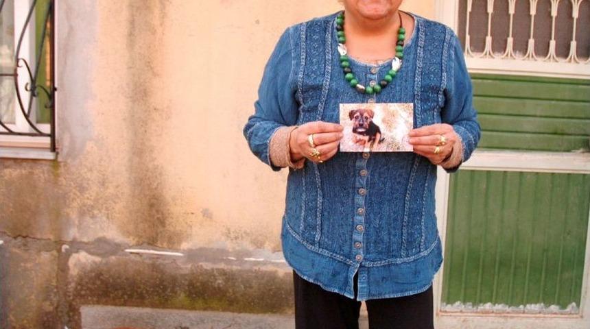 &Ccedil;alınan K&ouml;peğini Sokak Sokak Gezerek Arıyor