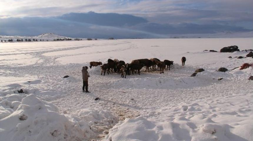 Donan G&ouml;l&uuml; Kırarak Hayvanlarını Suluyorlar