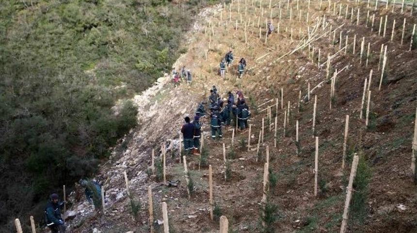 Umuttepe Kamp&uuml;s&uuml; Ağa&ccedil;landırılıyor
