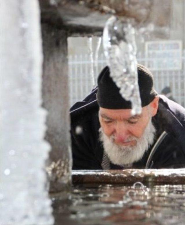 Erzurum’da Soğuk Hava Kedileri Otomobillerin Tavanına Çıkardı 2