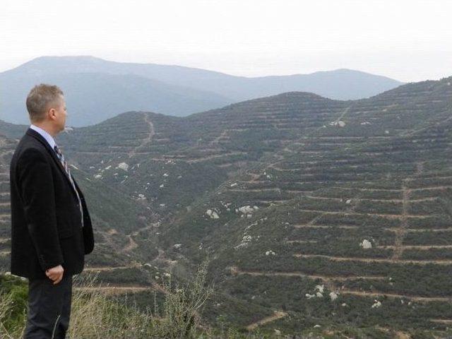 Kapıdağ da 834 Hektar Alana Fıstık &Ccedil;amı Dikildi 1