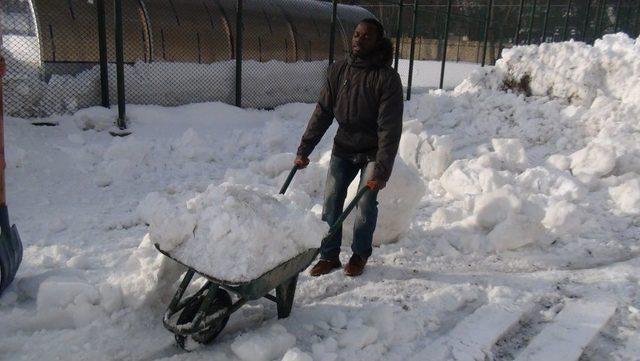 Bitlis'te Sahadaki Karları Futbolcular Temizliyor