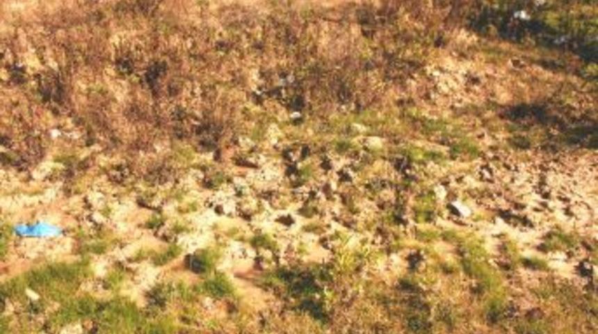 Vatandaştan Pis Su Tepkisi