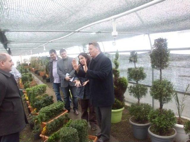 Orman Eski Genel M&uuml;d&uuml;r Yardımcısı &Ccedil;akır Sakarya&rsquo;da Brifing Verdi 2