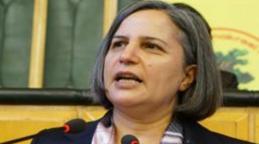 Kışanak: BDP'nin İmralı'ya Gitmesi &Ouml;nemli, Bir Ay Heba Edildi