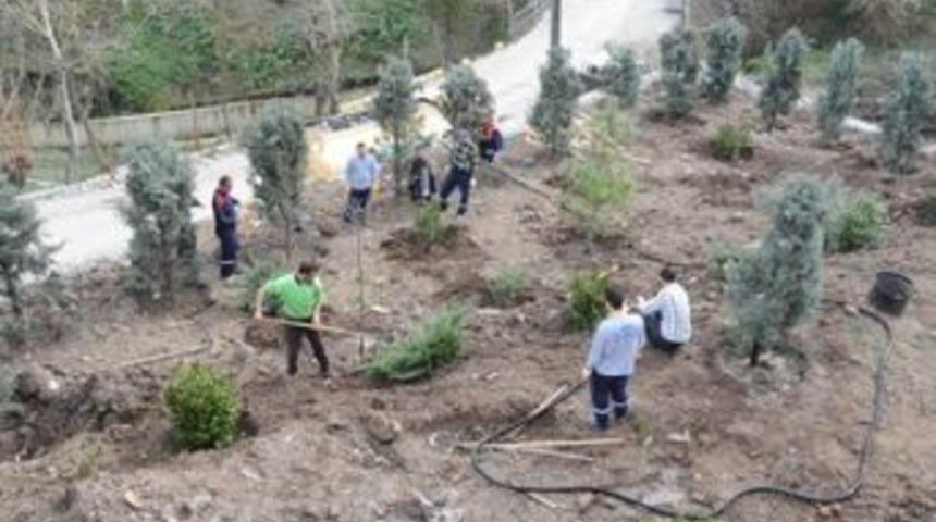 Hedef 10 bin ağa&ccedil;