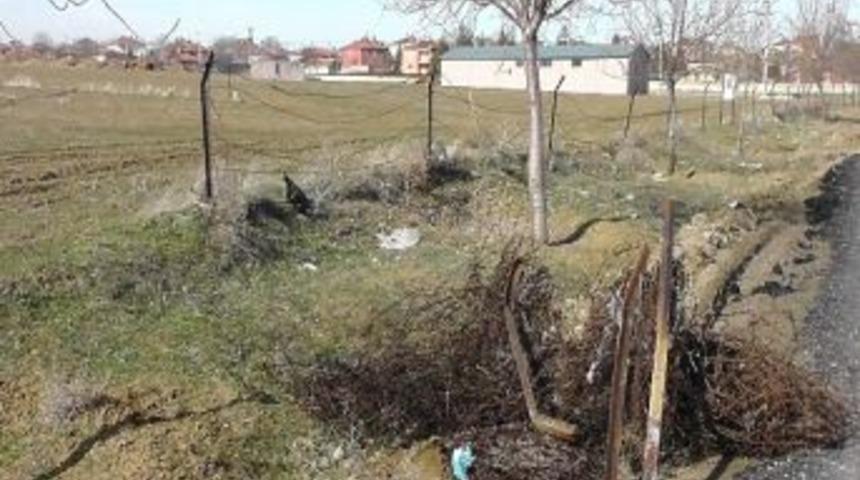 Hırsızlar Tarlayı &Ccedil;evreleyen &Ccedil;itleri Ve Demirleri &Ccedil;almaya Kalkıştı