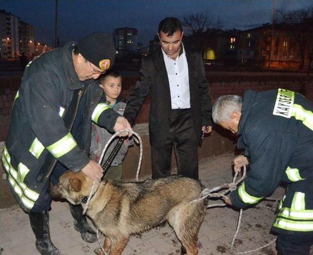 Su Kanalına Düşen Köpeği İtfaiye Kurtardı