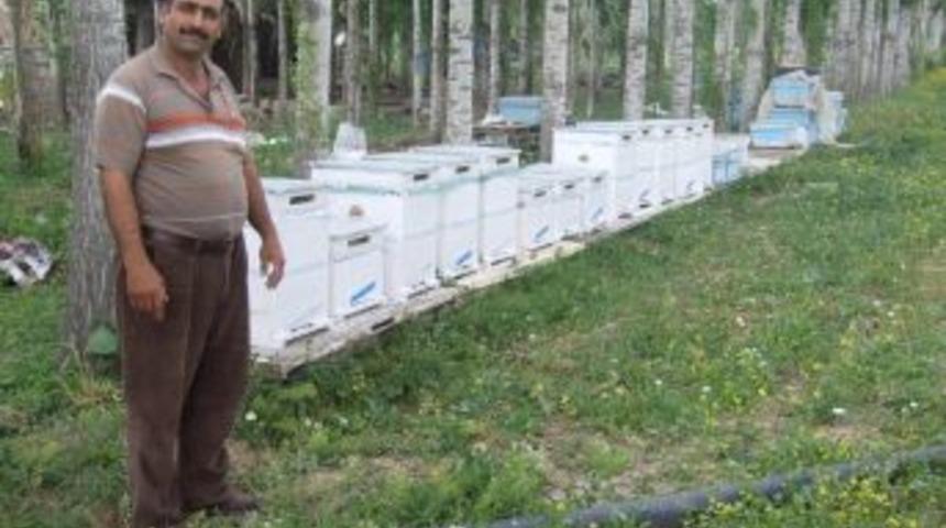 Boğazlıyan&rsquo;da Arıcılık Kursu A&ccedil;ılacak