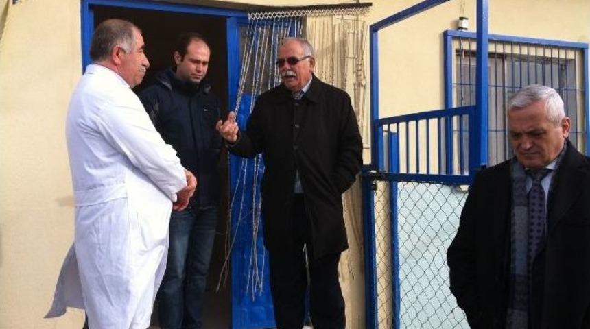 Hayvan Barınağı Ziyarete A&ccedil;ılacak