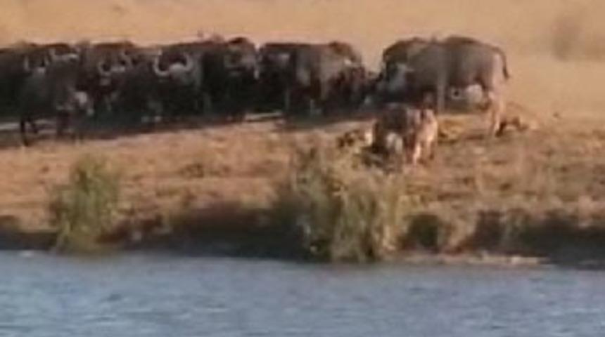 G&ouml;rd&uuml;klerinizle &ccedil;ok eğleneceksiniz...