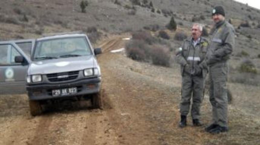 Şiran&rsquo;da Ka&ccedil;ak Avlanan 3 Kişi Yakalandı